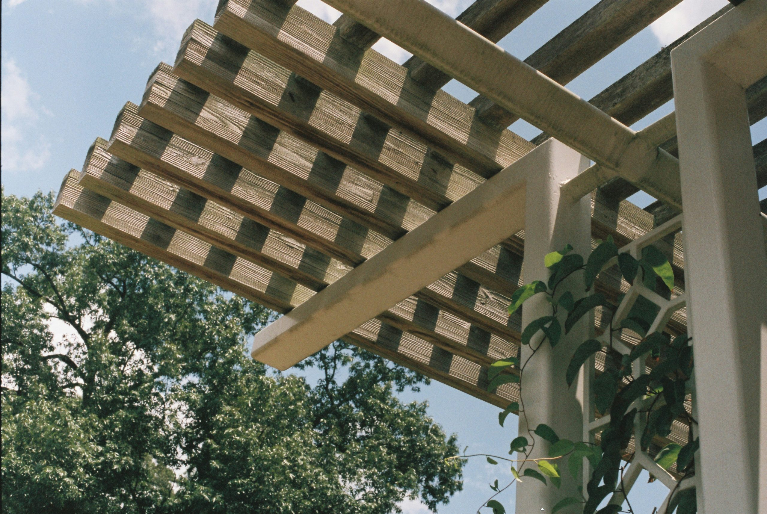 close-up of a wooden pergola